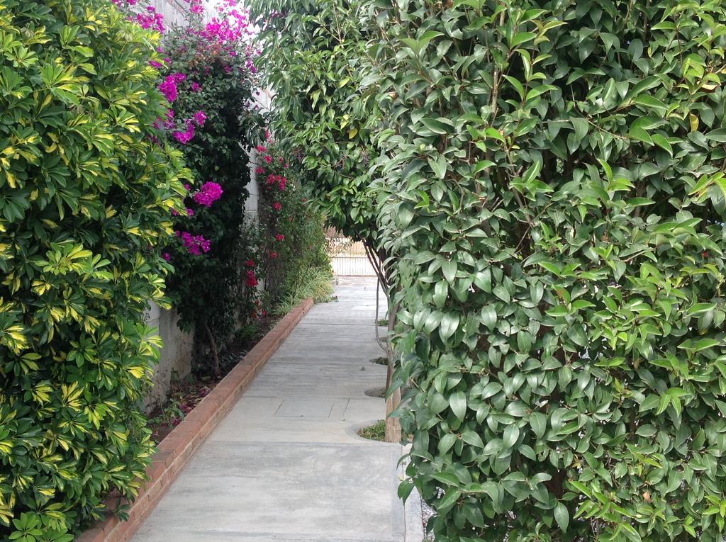 Hotel Villa Campestre เตกิซเกียปัน ภายนอก รูปภาพ